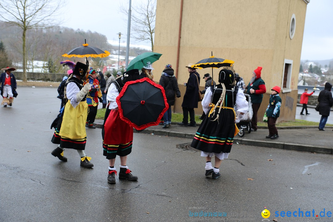 Fasnet Festumzug mit Motivwagen : Stockach am Bodensee, 01.02.2015