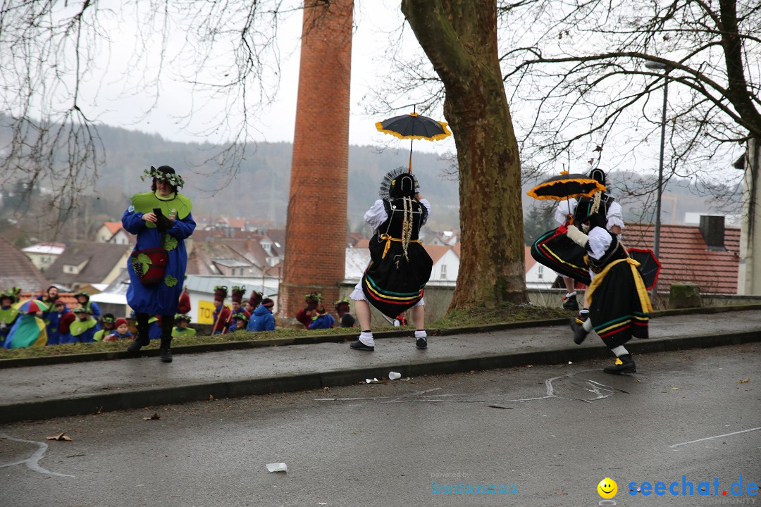 Fasnet Festumzug mit Motivwagen : Stockach am Bodensee, 01.02.2015