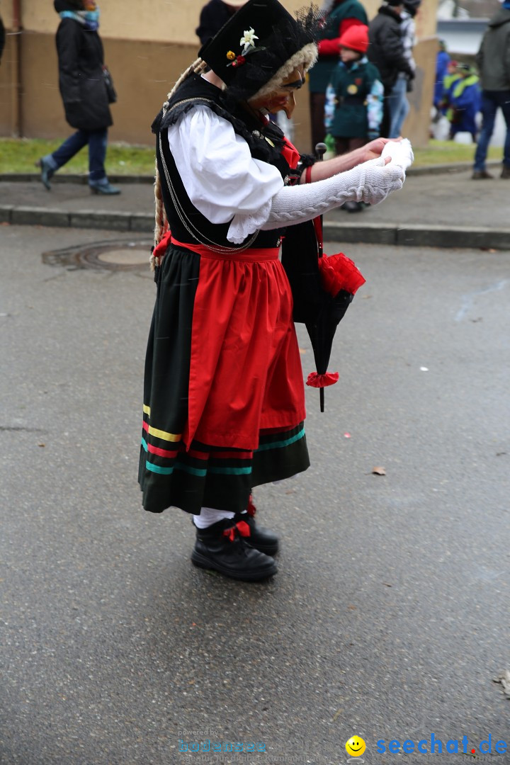 Fasnet Festumzug mit Motivwagen : Stockach am Bodensee, 01.02.2015