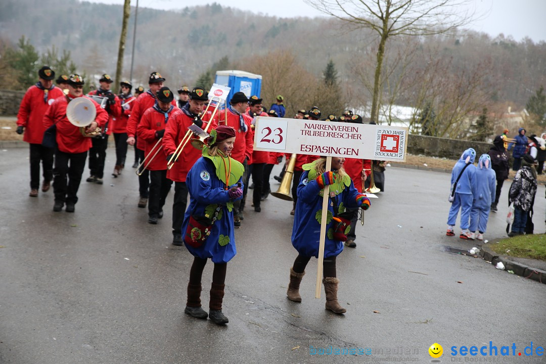 Fasnet Festumzug mit Motivwagen : Stockach am Bodensee, 01.02.2015