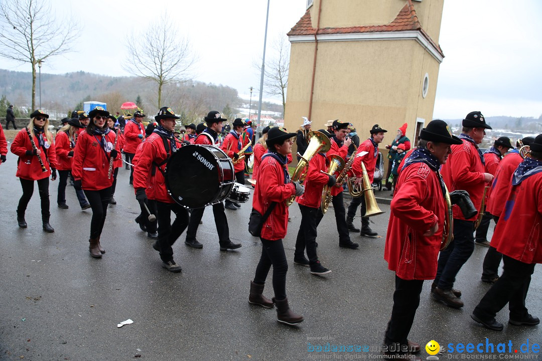 Fasnet Festumzug mit Motivwagen : Stockach am Bodensee, 01.02.2015