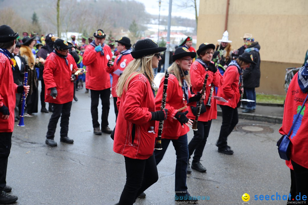 Fasnet Festumzug mit Motivwagen : Stockach am Bodensee, 01.02.2015