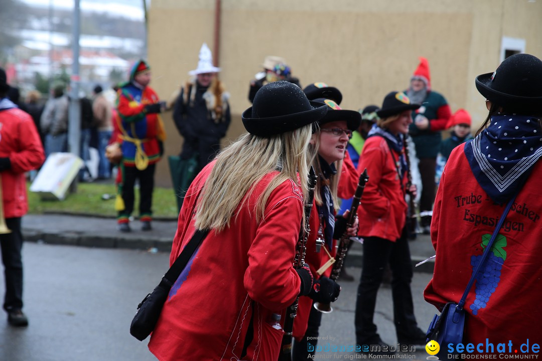 Fasnet Festumzug mit Motivwagen : Stockach am Bodensee, 01.02.2015