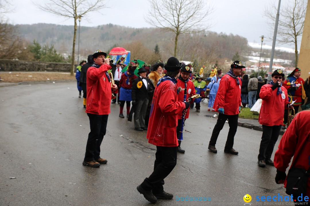 Fasnet Festumzug mit Motivwagen : Stockach am Bodensee, 01.02.2015