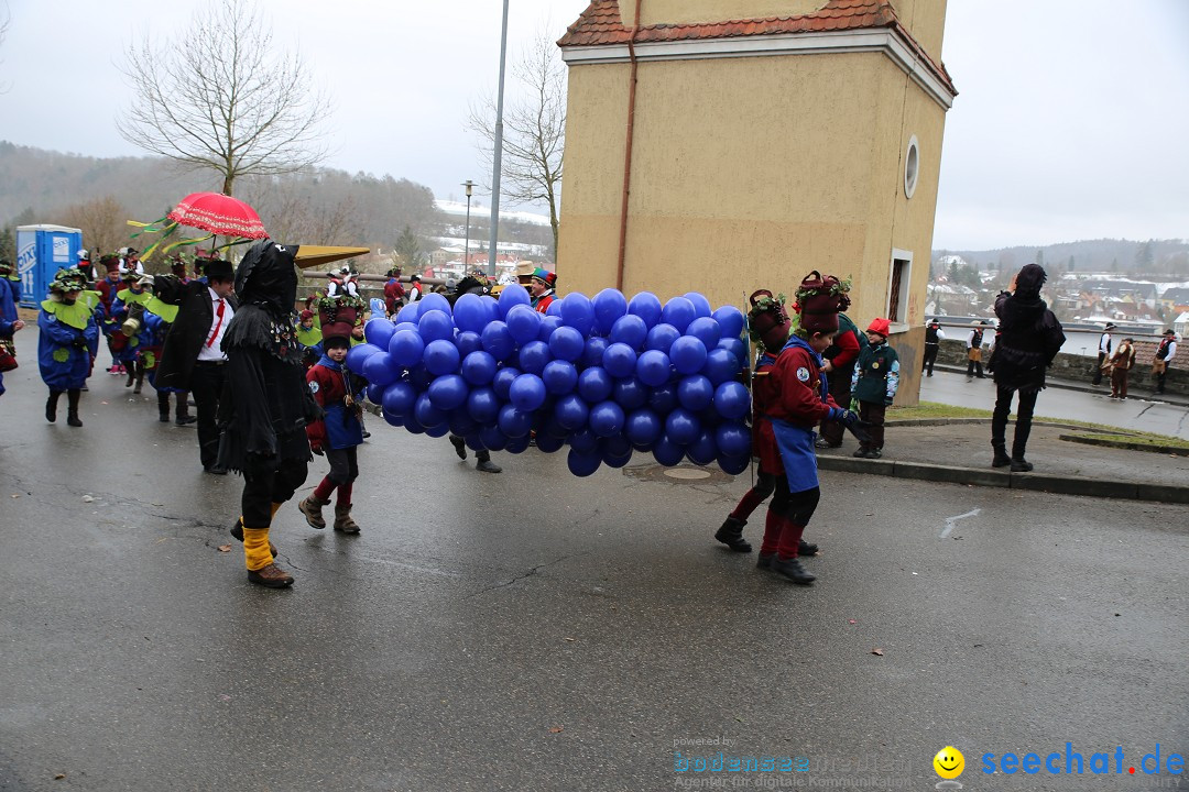 Fasnet Festumzug mit Motivwagen : Stockach am Bodensee, 01.02.2015