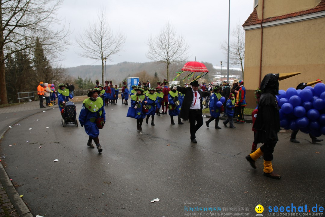 Fasnet Festumzug mit Motivwagen : Stockach am Bodensee, 01.02.2015