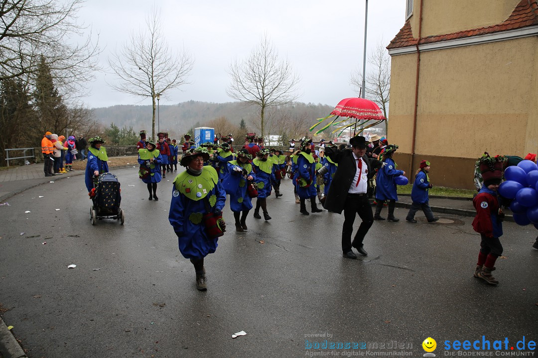 Fasnet Festumzug mit Motivwagen : Stockach am Bodensee, 01.02.2015