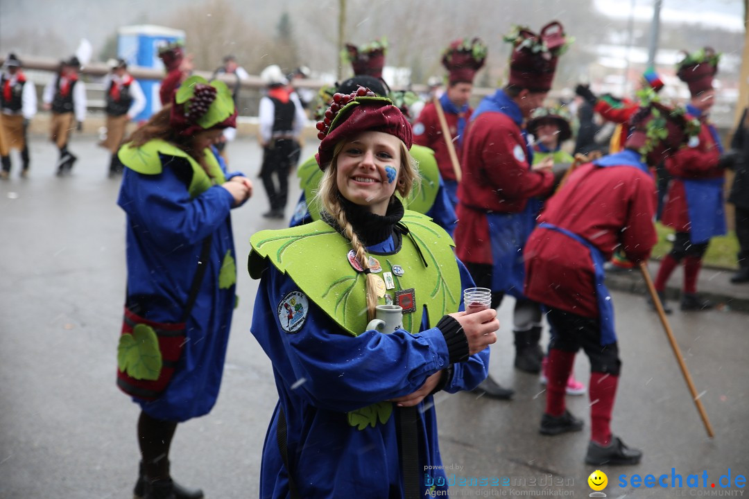 Fasnet Festumzug mit Motivwagen : Stockach am Bodensee, 01.02.2015