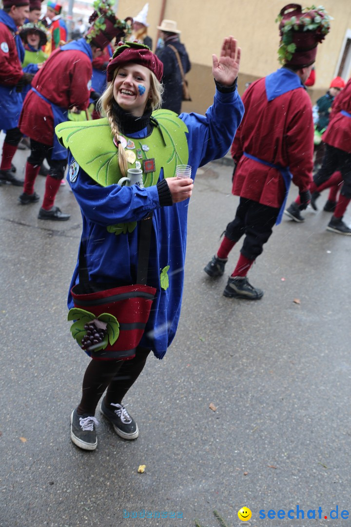 Fasnet Festumzug mit Motivwagen : Stockach am Bodensee, 01.02.2015