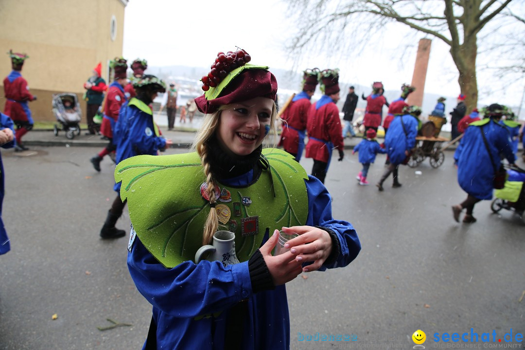 Fasnet Festumzug mit Motivwagen : Stockach am Bodensee, 01.02.2015