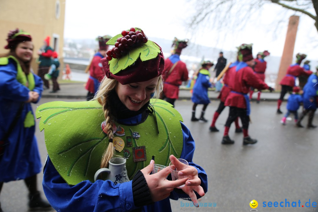 Fasnet Festumzug mit Motivwagen : Stockach am Bodensee, 01.02.2015