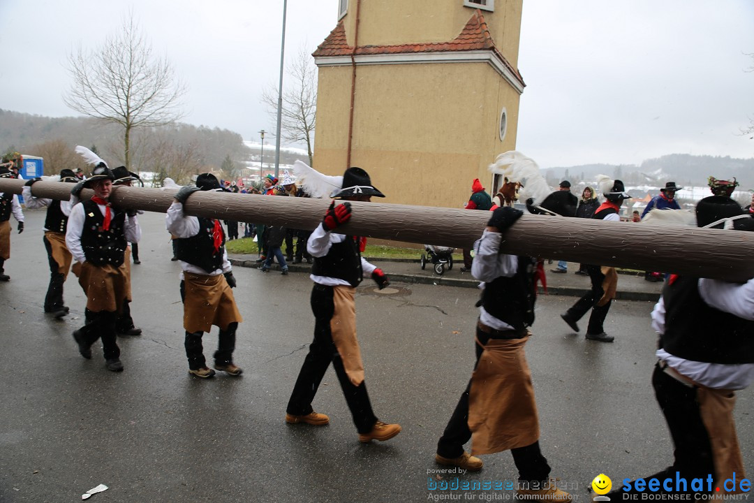 Fasnet Festumzug mit Motivwagen : Stockach am Bodensee, 01.02.2015