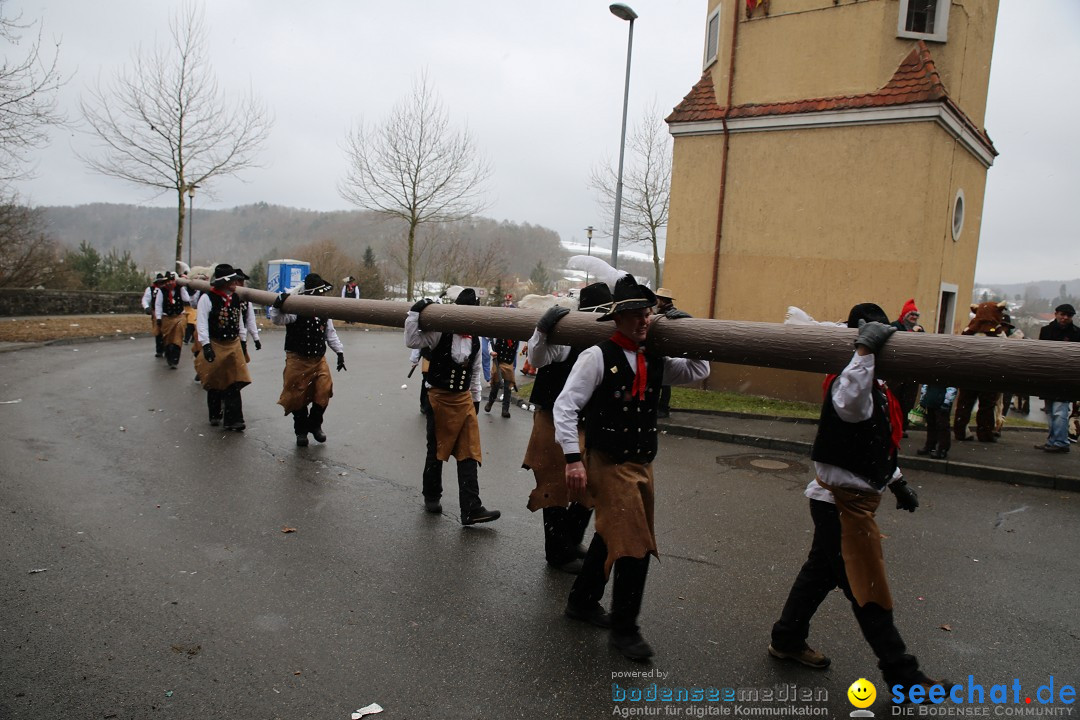 Fasnet Festumzug mit Motivwagen : Stockach am Bodensee, 01.02.2015