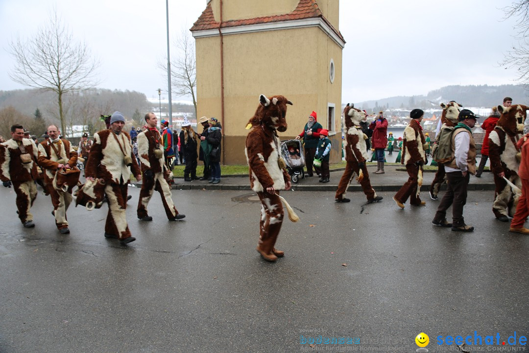 Fasnet Festumzug mit Motivwagen : Stockach am Bodensee, 01.02.2015