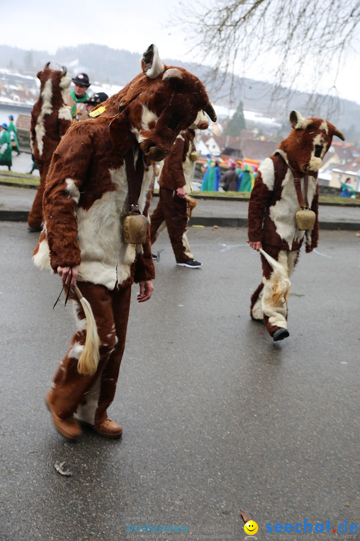 Fasnet Festumzug mit Motivwagen : Stockach am Bodensee, 01.02.2015