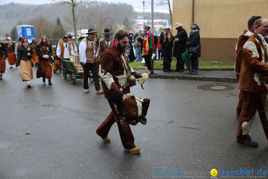 Fasnet Festumzug mit Motivwagen : Stockach am Bodensee, 01.02.2015