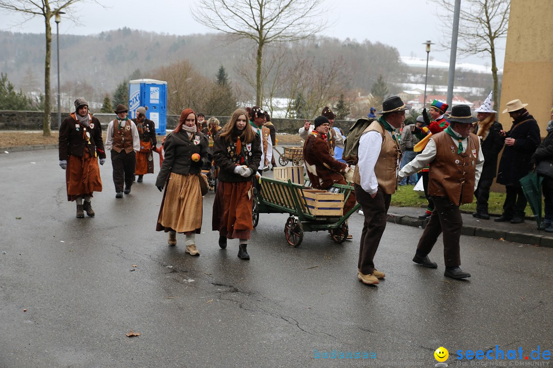 Fasnet Festumzug mit Motivwagen : Stockach am Bodensee, 01.02.2015