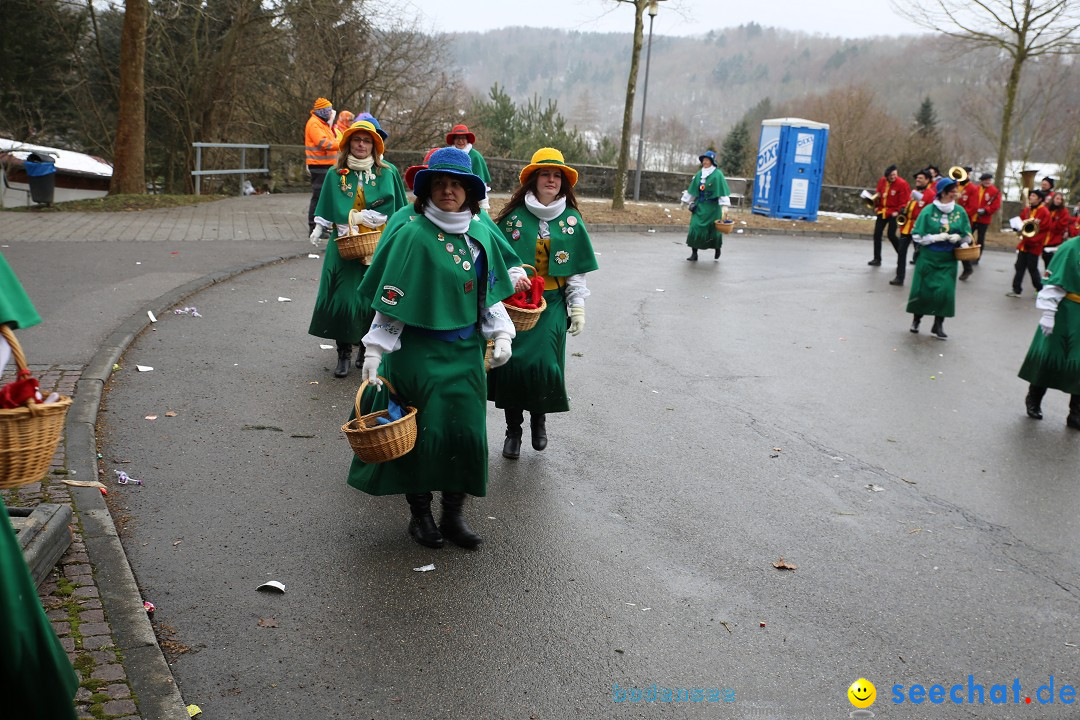 Fasnet Festumzug mit Motivwagen : Stockach am Bodensee, 01.02.2015