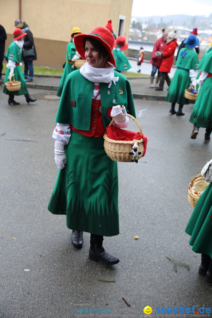 Fasnet Festumzug mit Motivwagen : Stockach am Bodensee, 01.02.2015