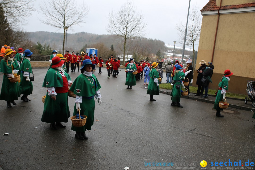 Fasnet Festumzug mit Motivwagen : Stockach am Bodensee, 01.02.2015