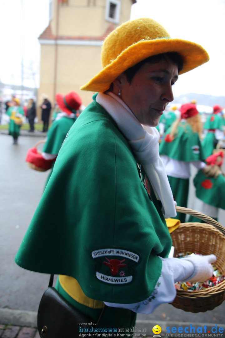 Fasnet Festumzug mit Motivwagen : Stockach am Bodensee, 01.02.2015