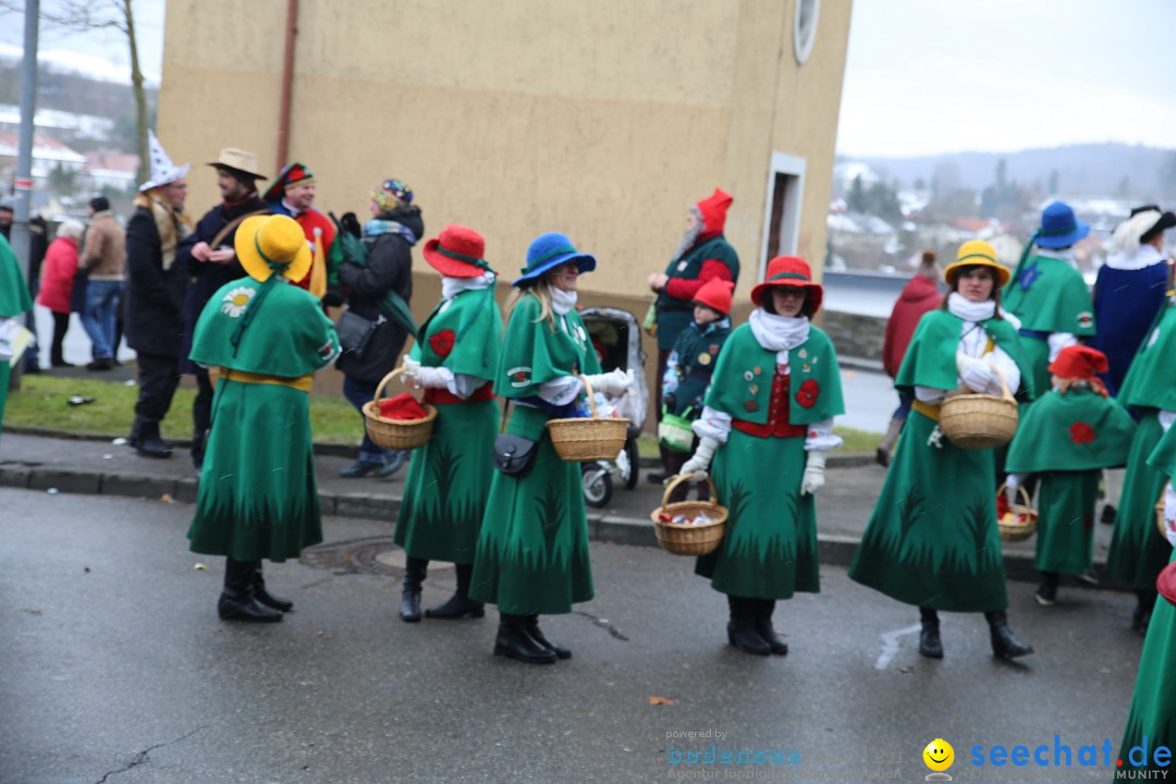 Fasnet Festumzug mit Motivwagen : Stockach am Bodensee, 01.02.2015