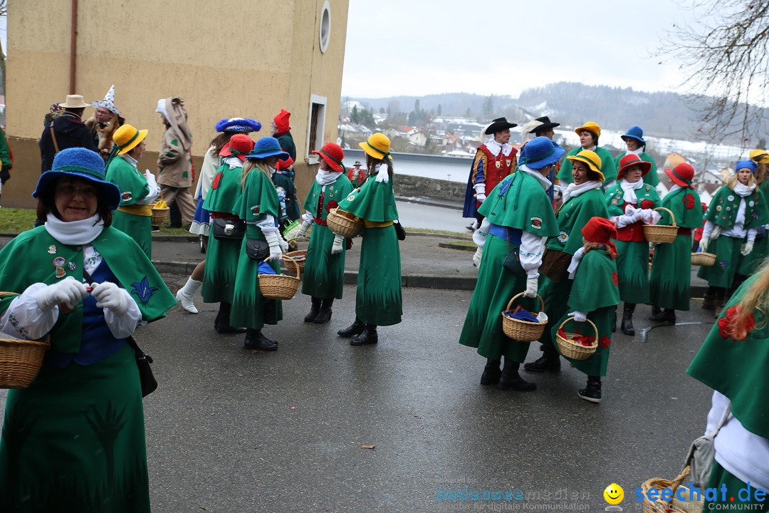 Fasnet Festumzug mit Motivwagen : Stockach am Bodensee, 01.02.2015