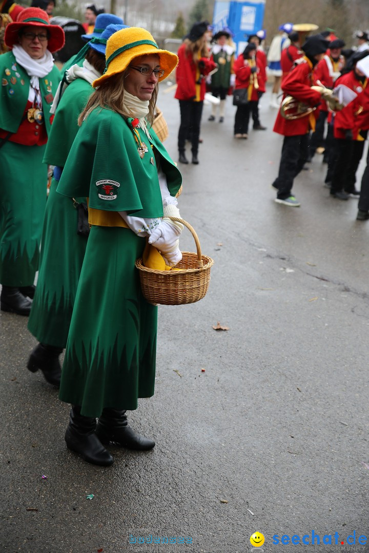 Fasnet Festumzug mit Motivwagen : Stockach am Bodensee, 01.02.2015