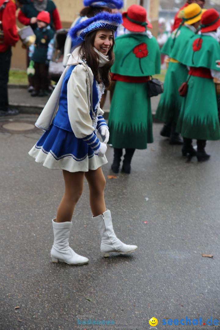 Fasnet Festumzug mit Motivwagen : Stockach am Bodensee, 01.02.2015