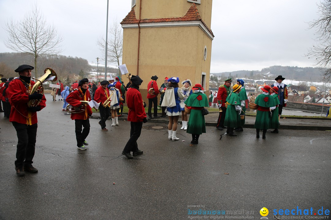 Fasnet Festumzug mit Motivwagen : Stockach am Bodensee, 01.02.2015