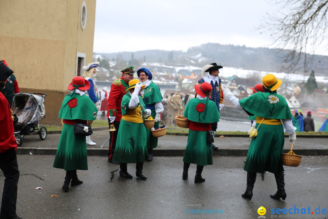 Fasnet Festumzug mit Motivwagen : Stockach am Bodensee, 01.02.2015