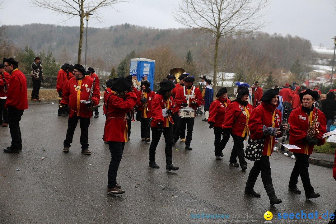 Fasnet Festumzug mit Motivwagen : Stockach am Bodensee, 01.02.2015