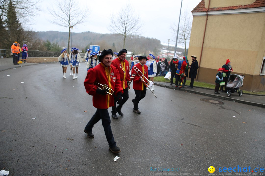 Fasnet Festumzug mit Motivwagen : Stockach am Bodensee, 01.02.2015