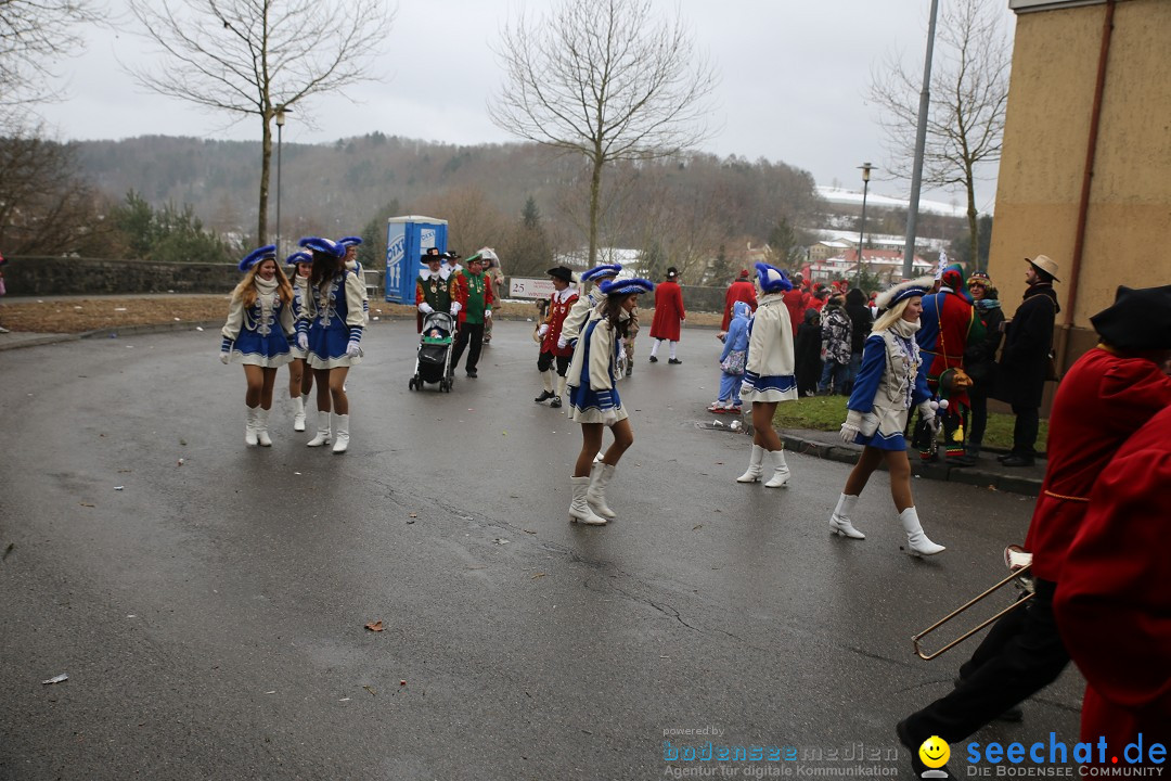 Fasnet Festumzug mit Motivwagen : Stockach am Bodensee, 01.02.2015