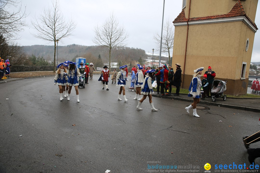 Fasnet Festumzug mit Motivwagen : Stockach am Bodensee, 01.02.2015