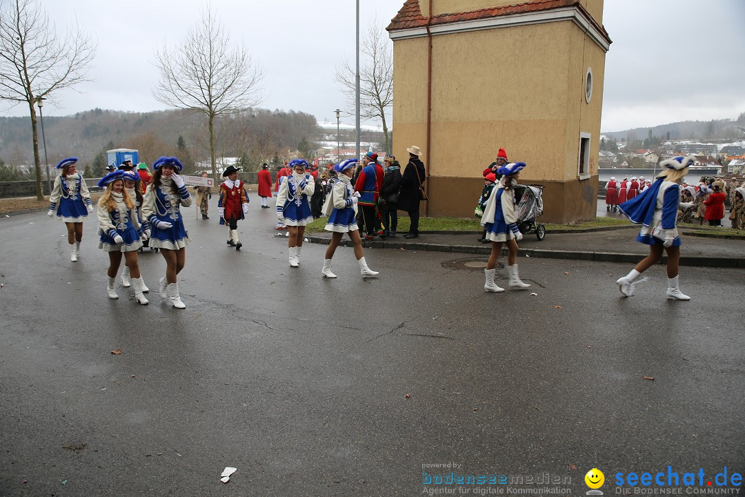 Fasnet Festumzug mit Motivwagen : Stockach am Bodensee, 01.02.2015