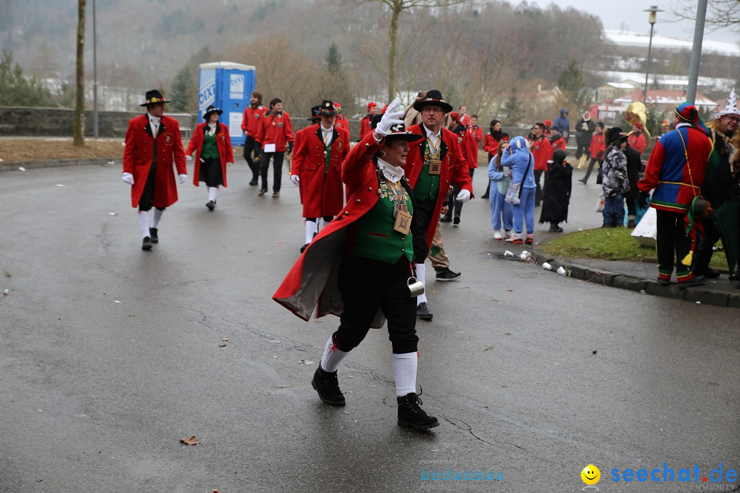 Fasnet Festumzug mit Motivwagen : Stockach am Bodensee, 01.02.2015