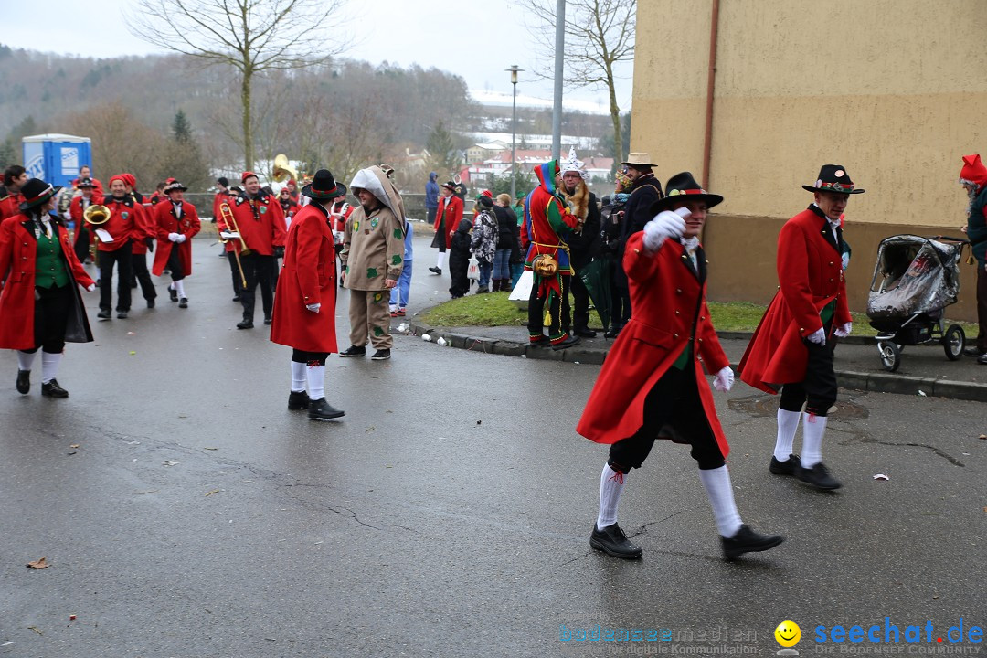 Fasnet Festumzug mit Motivwagen : Stockach am Bodensee, 01.02.2015