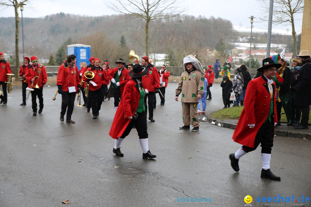 Fasnet Festumzug mit Motivwagen : Stockach am Bodensee, 01.02.2015