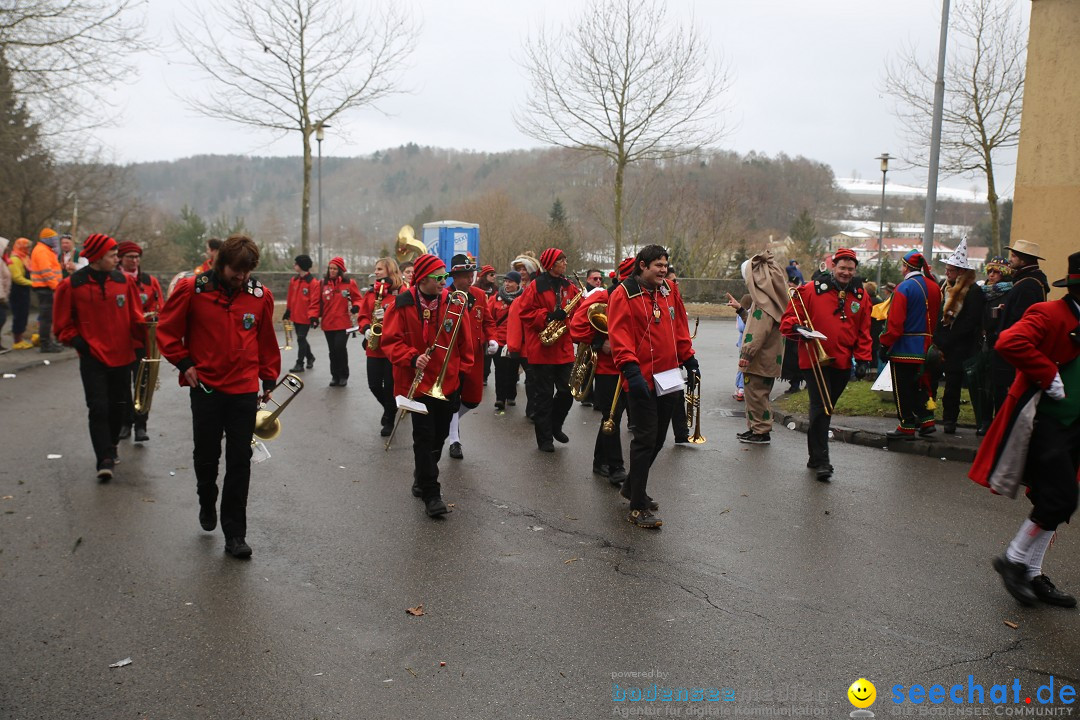 Fasnet Festumzug mit Motivwagen : Stockach am Bodensee, 01.02.2015