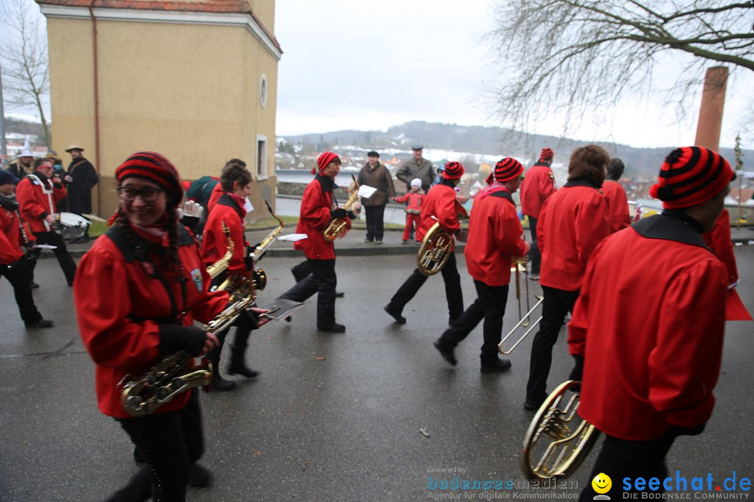 Fasnet Festumzug mit Motivwagen : Stockach am Bodensee, 01.02.2015