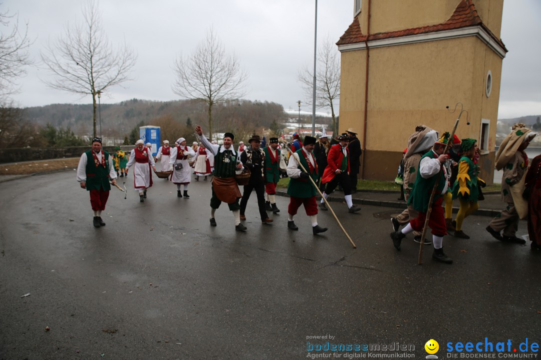 Fasnet Festumzug mit Motivwagen : Stockach am Bodensee, 01.02.2015