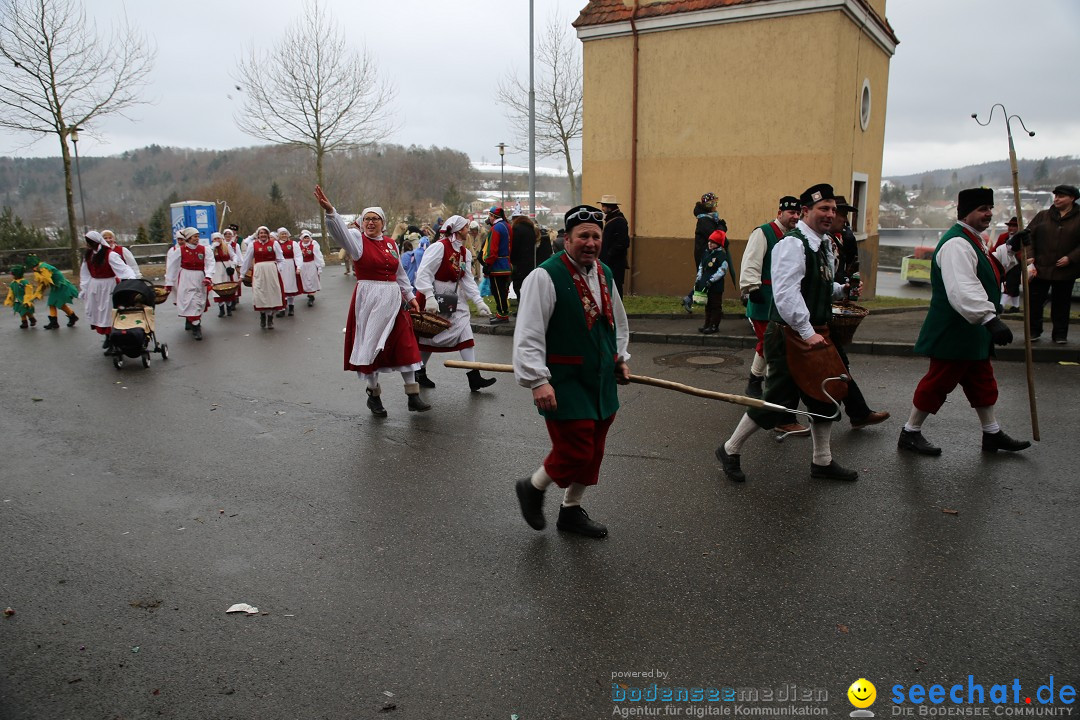 Fasnet Festumzug mit Motivwagen : Stockach am Bodensee, 01.02.2015