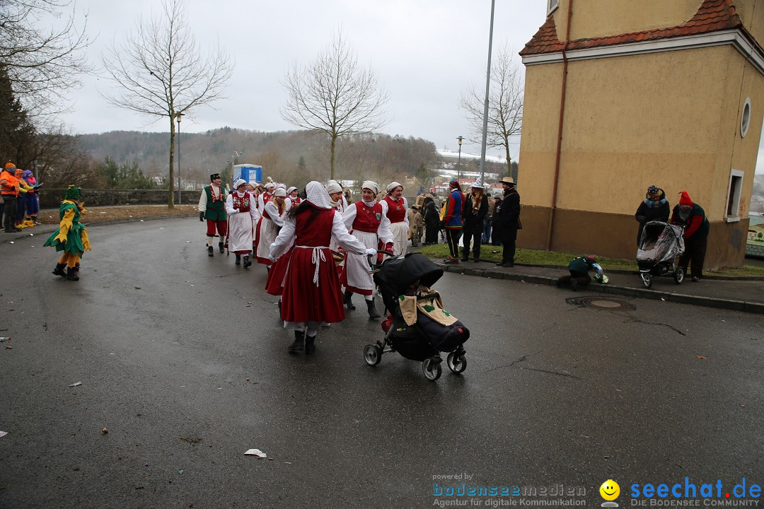 Fasnet Festumzug mit Motivwagen : Stockach am Bodensee, 01.02.2015