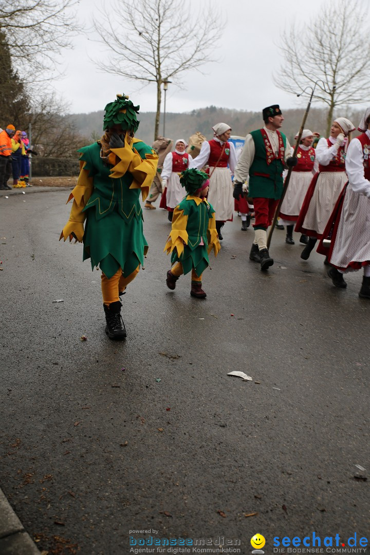 Fasnet Festumzug mit Motivwagen : Stockach am Bodensee, 01.02.2015