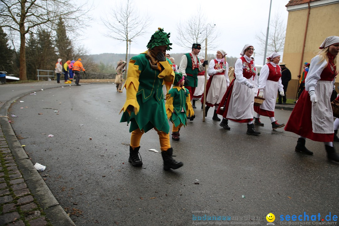 Fasnet Festumzug mit Motivwagen : Stockach am Bodensee, 01.02.2015