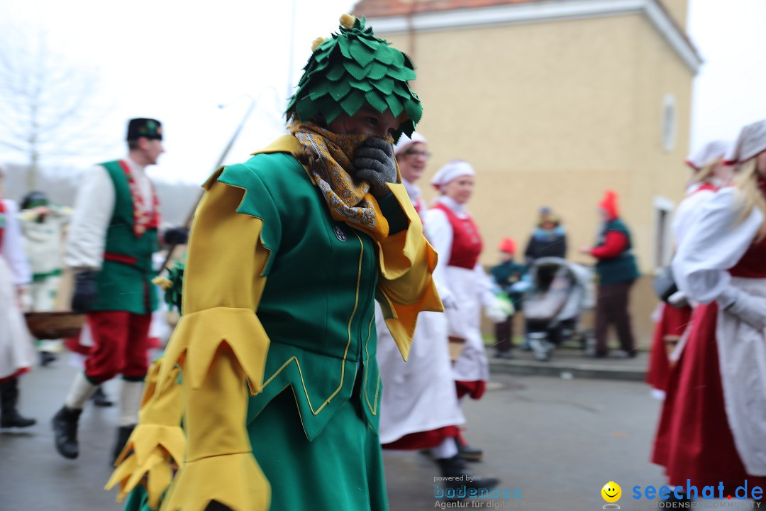 Fasnet Festumzug mit Motivwagen : Stockach am Bodensee, 01.02.2015