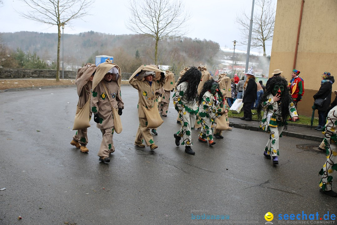 Fasnet Festumzug mit Motivwagen : Stockach am Bodensee, 01.02.2015