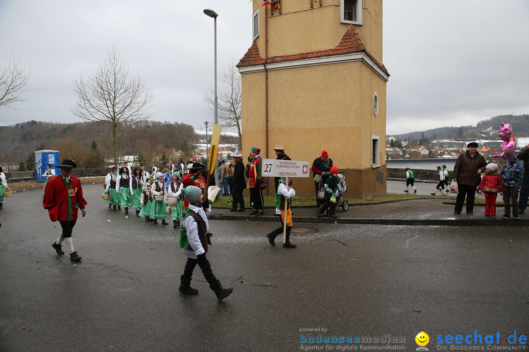 Fasnet Festumzug mit Motivwagen : Stockach am Bodensee, 01.02.2015