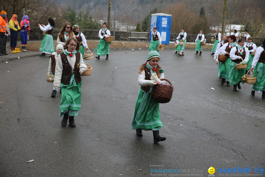 Fasnet Festumzug mit Motivwagen : Stockach am Bodensee, 01.02.2015